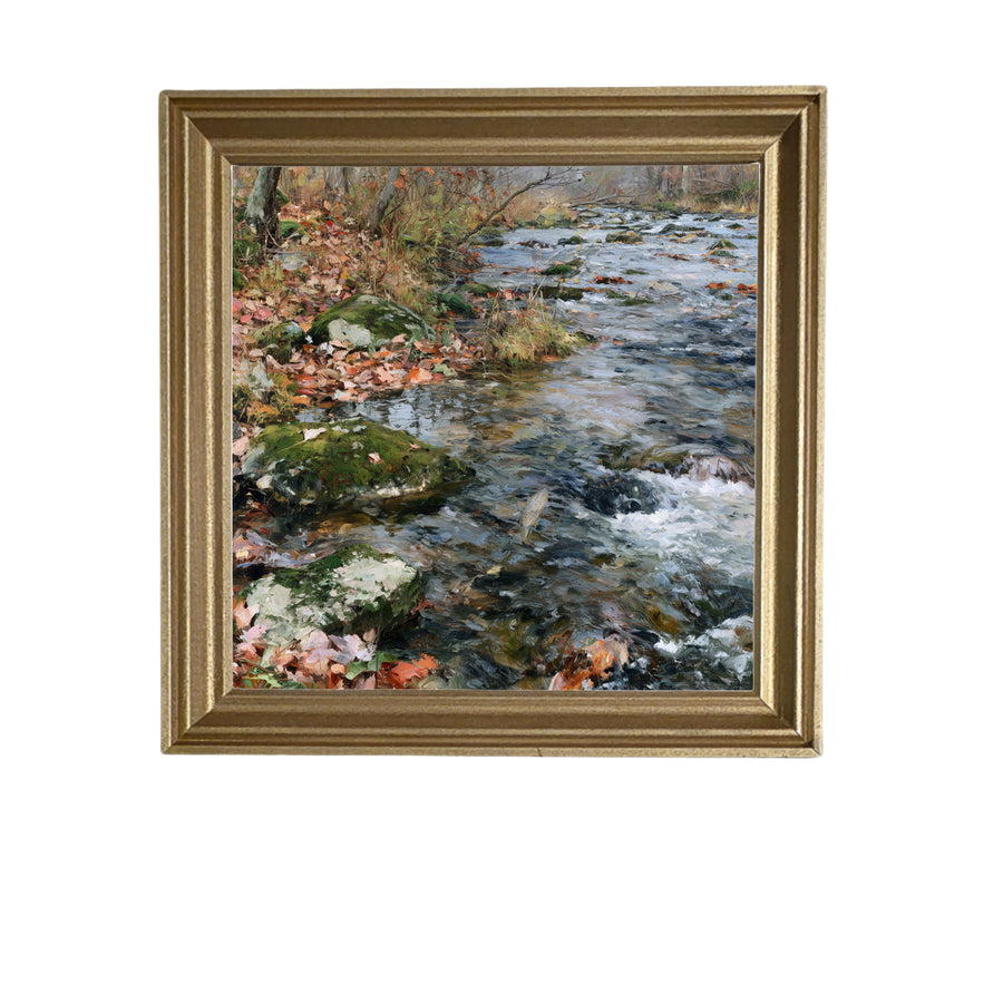 Tranquil autumn stream flowing over mossy rocks with fallen leaves and trees in a rustic woodland setting