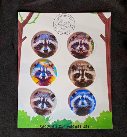 Cute Racoon Magnets or Buttons, Racoon Magnet Set, Racoon portrait, Racoon magnet, Racoon Pin, Racoon art