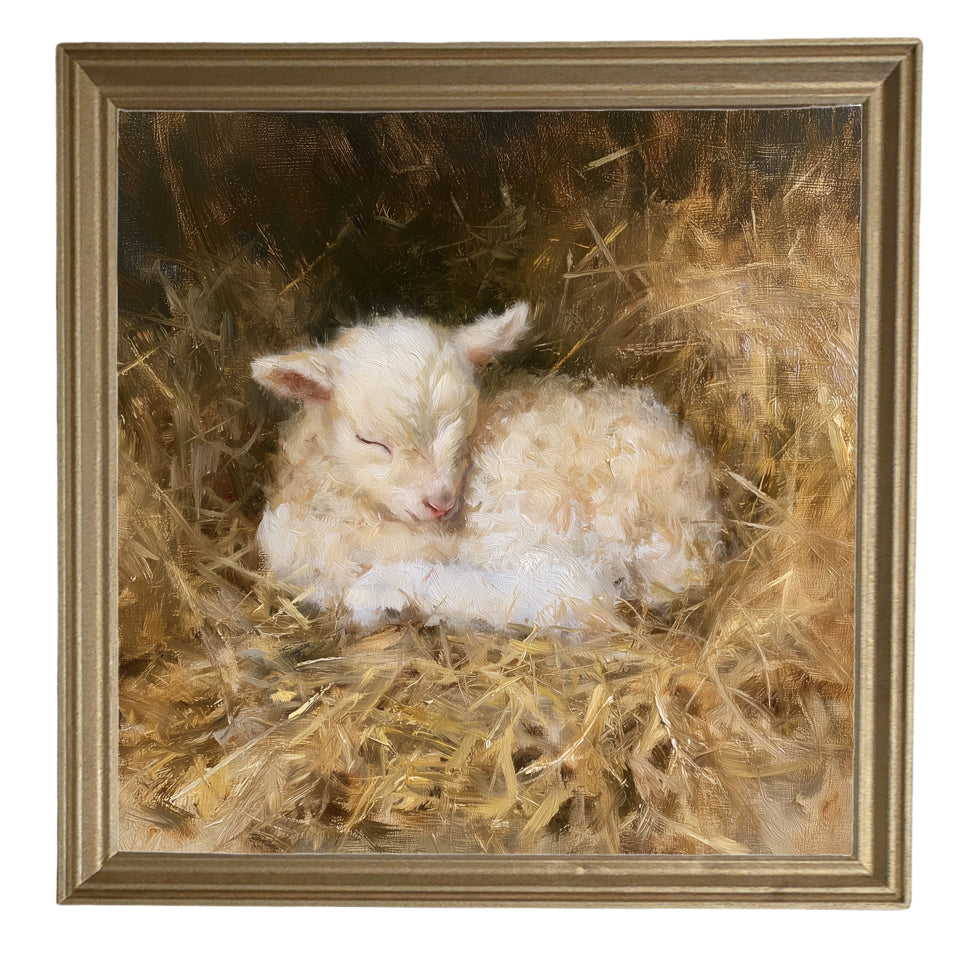 Cream-colored lamb curled up asleep, framed farmhouse nursery wall art — product view 8