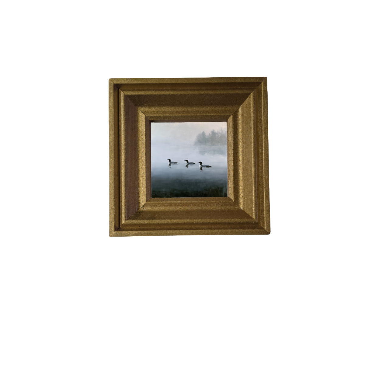 Three common loons floating together on a tranquil lake in a rustic black and white framed print — product view 2