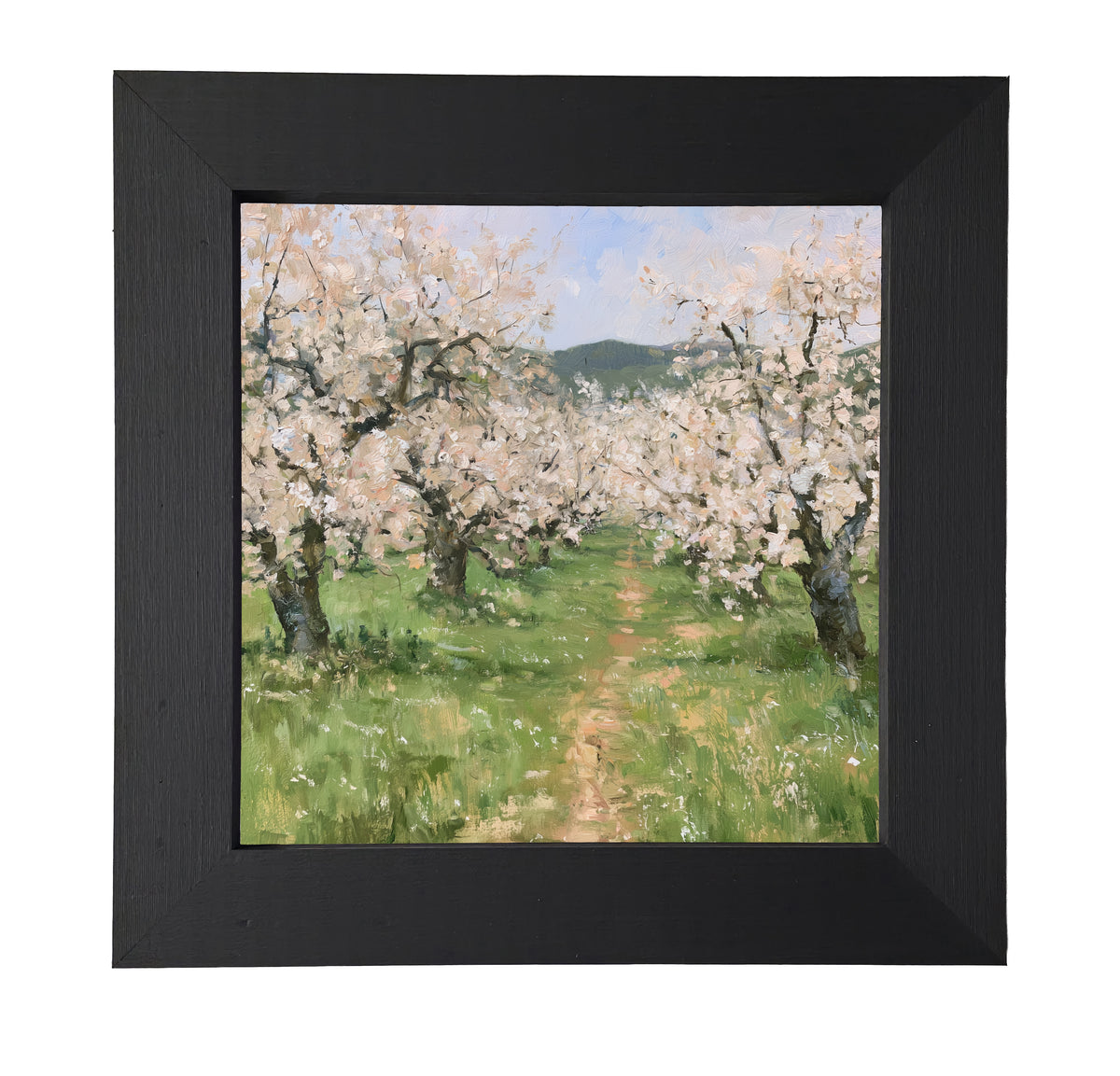 old apple orchard in full spring bloom with green foliage and white blossoms, framed wall art — product view 7