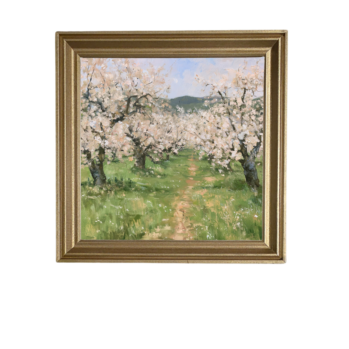 old apple orchard in full spring bloom with green foliage and white blossoms, framed wall art