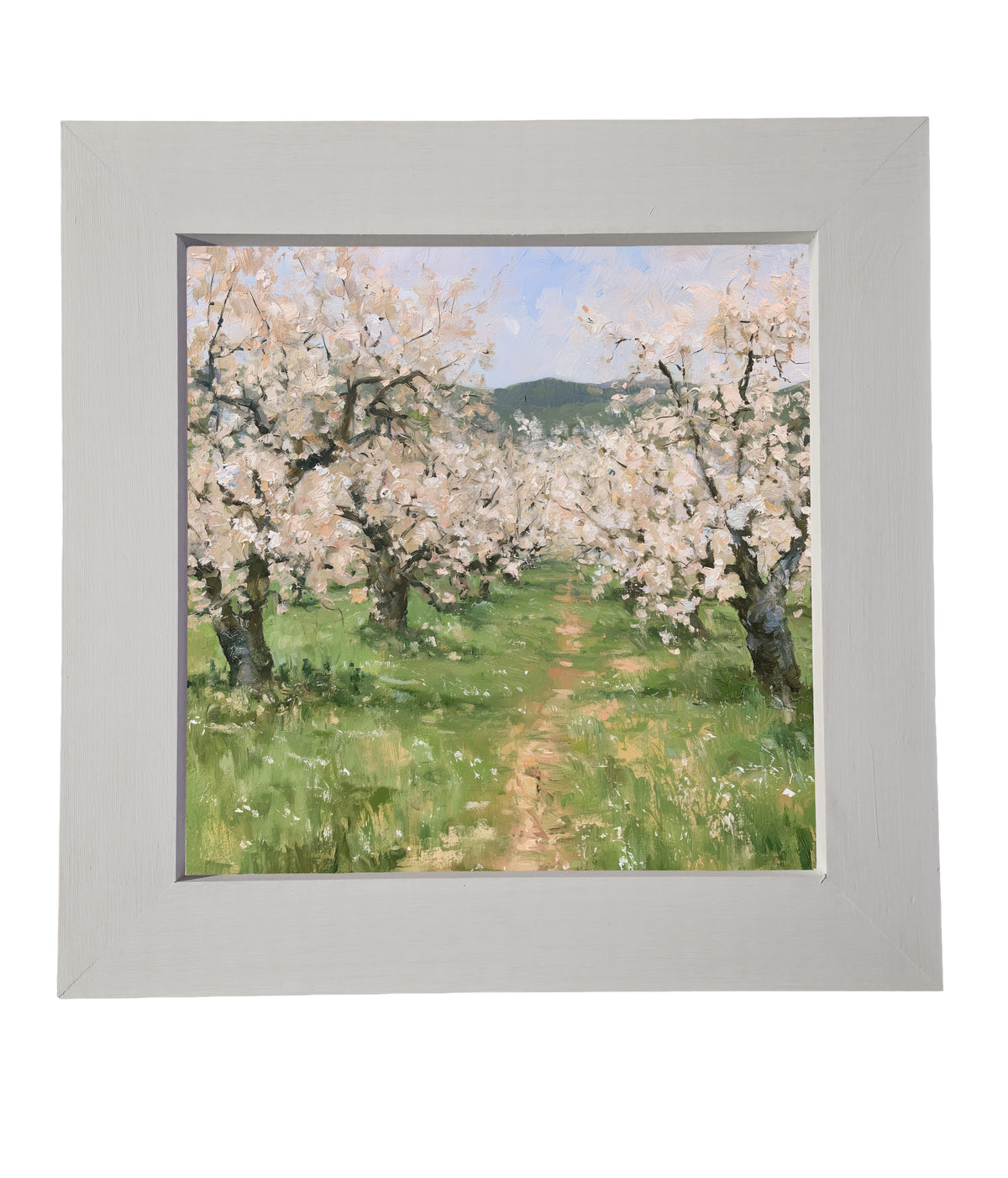 old apple orchard in full spring bloom with green foliage and white blossoms, framed wall art — product view 6