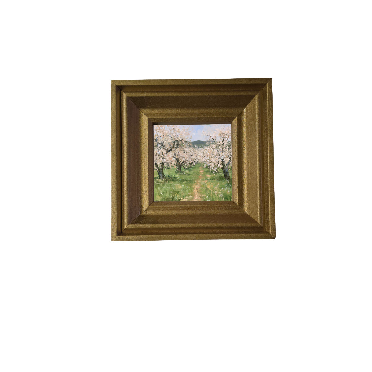 old apple orchard in full spring bloom with green foliage and white blossoms, framed wall art — product view 2