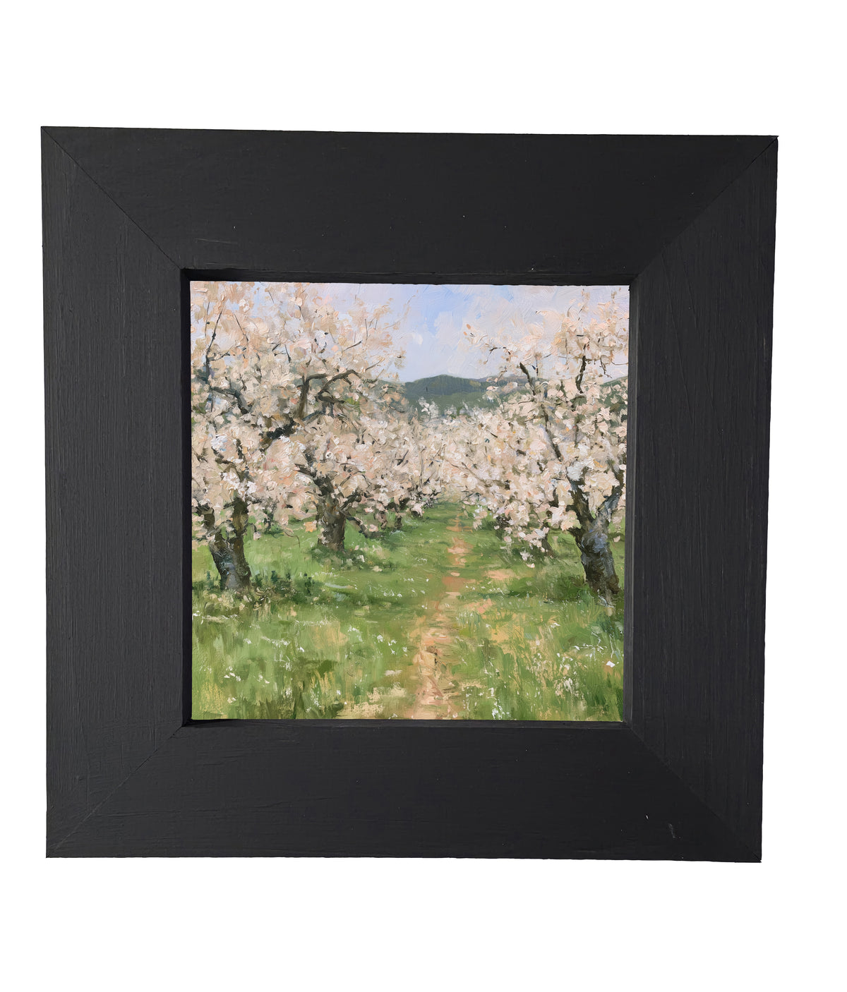 old apple orchard in full spring bloom with green foliage and white blossoms, framed wall art — product view 5