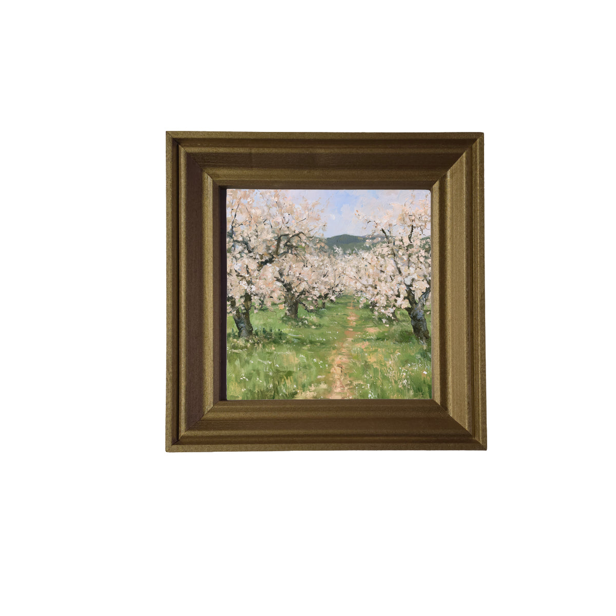 old apple orchard in full spring bloom with green foliage and white blossoms, framed wall art — product view 3