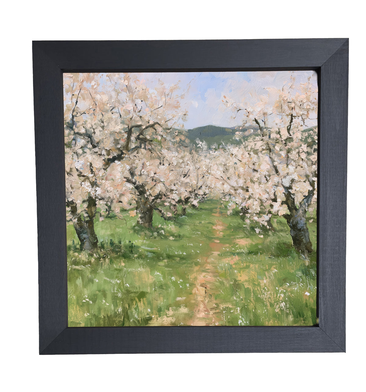 old apple orchard in full spring bloom with green foliage and white blossoms, framed wall art — product view 10