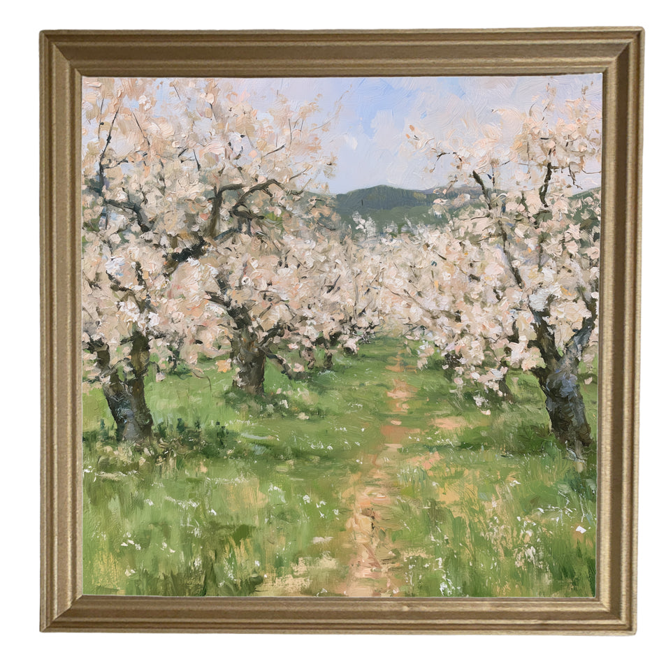 old apple orchard in full spring bloom with green foliage and white blossoms, framed wall art — product view 8
