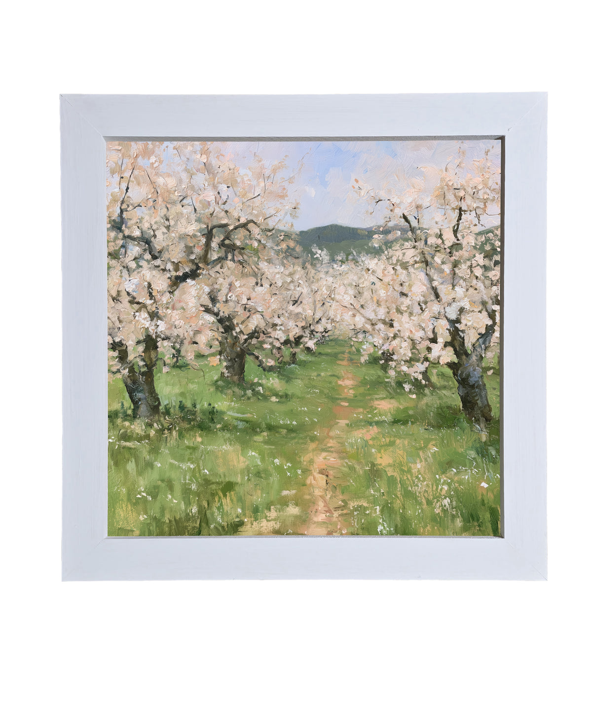 old apple orchard in full spring bloom with green foliage and white blossoms, framed wall art — product view 9